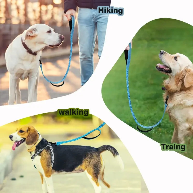 Bungee Dog Leash, 5-Foot Shock Absorbing with Dual Padded Handles, Adjustable Waist and Secure Buckle