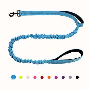 Bungee Dog Leash, 5-Foot Shock Absorbing with Dual Padded Handles, Adjustable Waist and Secure Buckle